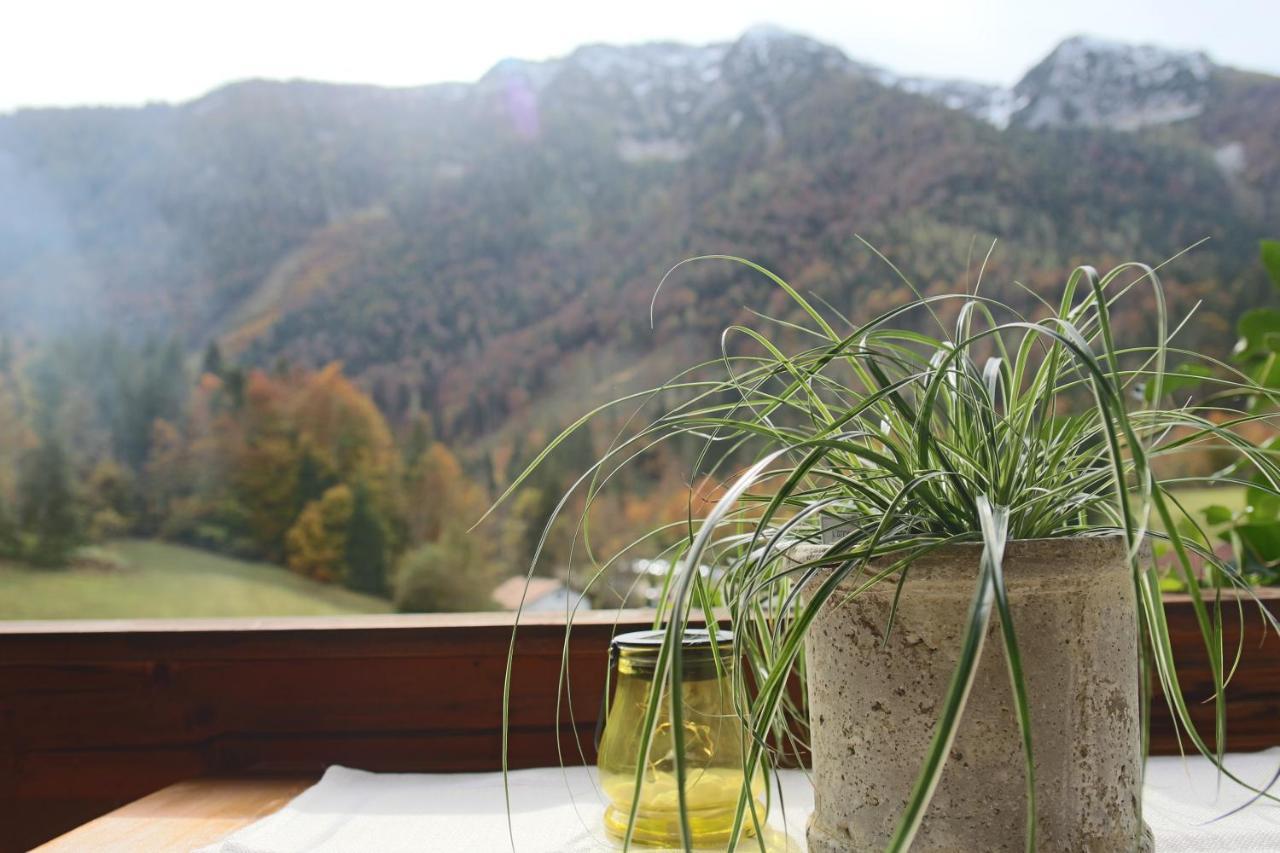 Kienberghof Daire Inzell Dış mekan fotoğraf